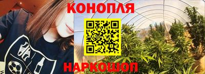 эйфоретик Гай